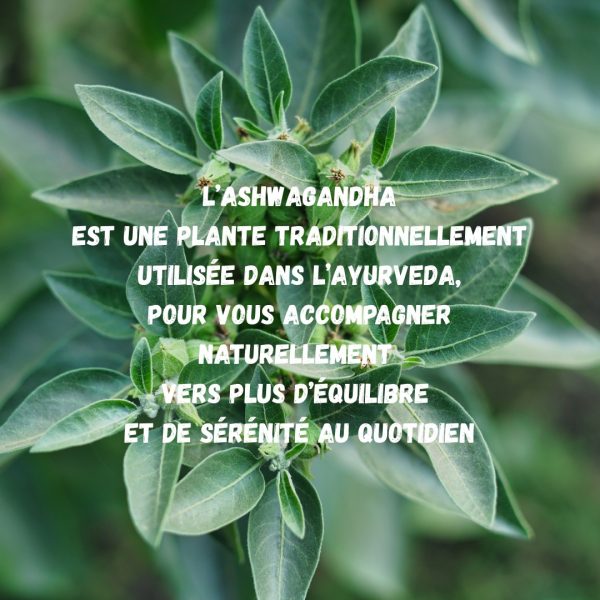 NUTRI-BOOST-Ashwagandha-complement-alimentaire-avec-Ashwagandha-naturel